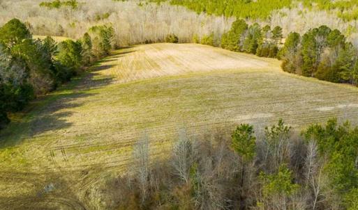 Photo of 100.29 + / -  acres of Farm and Recreational Land with House for Sale in Vance County NC!