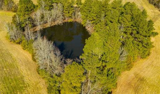 Photo of 100.29 + / -  acres of Farm and Recreational Land with House for Sale in Vance County NC!