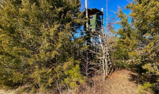 Photo of 100.29 + / -  acres of Farm and Recreational Land with House for Sale in Vance County NC!