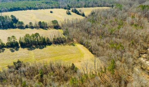Photo of 100.29 + / -  acres of Farm and Recreational Land with House for Sale in Vance County NC!