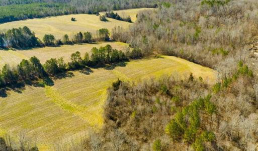 Photo of 100.29 + / -  acres of Farm and Recreational Land with House for Sale in Vance County NC!