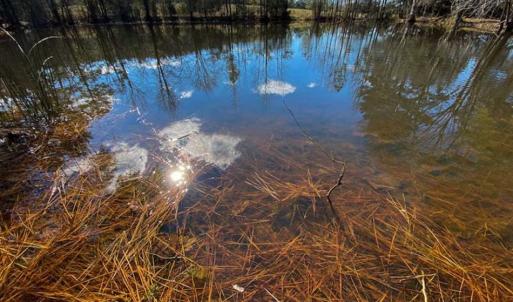 Photo of 100.29 + / -  acres of Farm and Recreational Land with House for Sale in Vance County NC!