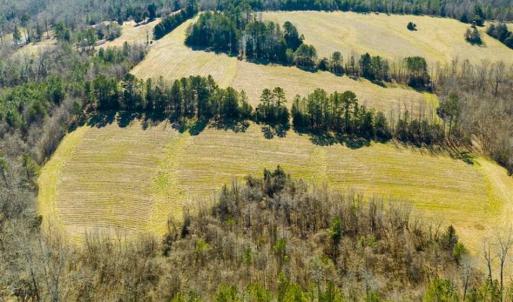 Photo of 100.29 + / -  acres of Farm and Recreational Land with House for Sale in Vance County NC!