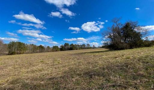 Photo of 100.29 + / -  acres of Farm and Recreational Land with House for Sale in Vance County NC!