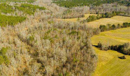 Photo of 100.29 + / -  acres of Farm and Recreational Land with House for Sale in Vance County NC!