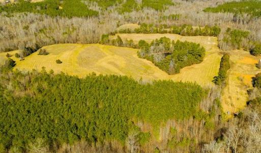 Photo of 100.29 + / -  acres of Farm and Recreational Land with House for Sale in Vance County NC!