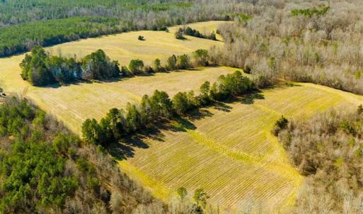 Photo of 100.29 + / -  acres of Farm and Recreational Land with House for Sale in Vance County NC!