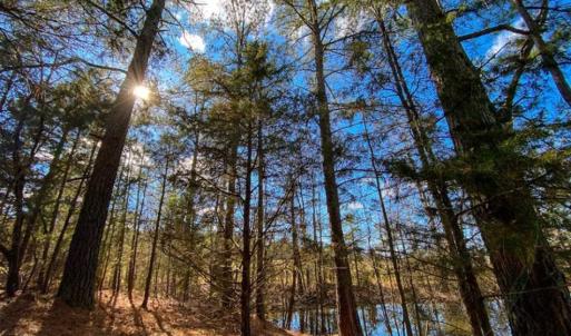 Photo of 100.29 + / -  acres of Farm and Recreational Land with House for Sale in Vance County NC!