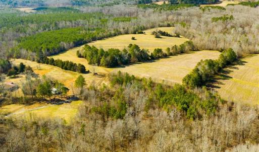 Photo of 100.29 + / -  acres of Farm and Recreational Land with House for Sale in Vance County NC!