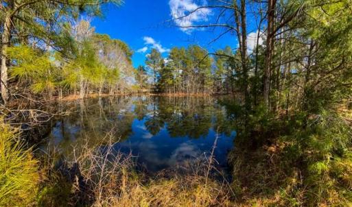 Photo of 100.29 + / -  acres of Farm and Recreational Land with House for Sale in Vance County NC!