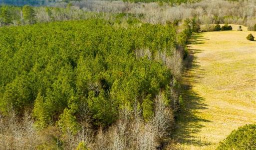 Photo of 100.29 + / -  acres of Farm and Recreational Land with House for Sale in Vance County NC!