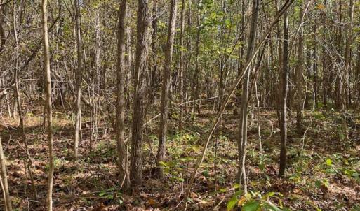 Photo of 100.29 + / -  acres of Farm and Recreational Land with House for Sale in Vance County NC!