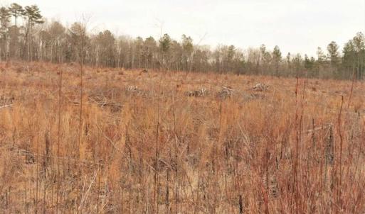 Photo of 10 + / -  acres of Residential/Timberland For Sale in Chatham County NC!