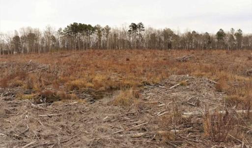 Photo of 10 + / -  acres of Residential/Timberland For Sale in Chatham County NC!