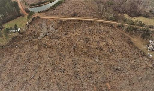 Photo of 10 + / -  acres of Residential/Timberland For Sale in Chatham County NC!