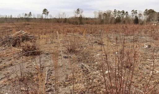 Photo of 10 + / -  acres of Residential/Timberland For Sale in Chatham County NC!