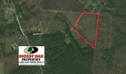 Photo of 10 + / -  acres of Residential/Timberland For Sale in Chatham County NC!