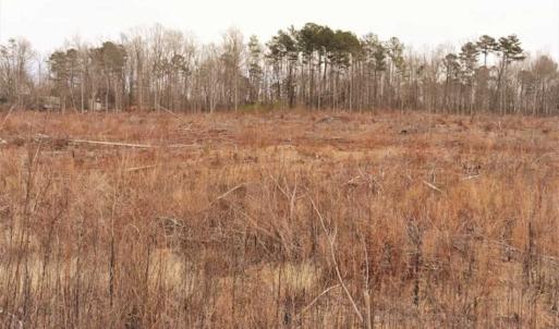 Photo of 10 + / -  acres of Residential/Timberland For Sale in Chatham County NC!