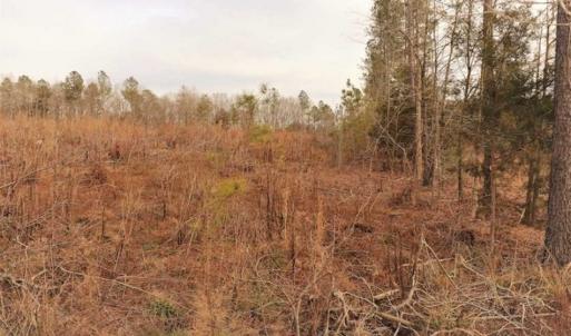 Photo of 10 + / -  acres of Residential/Timberland For Sale in Chatham County NC!