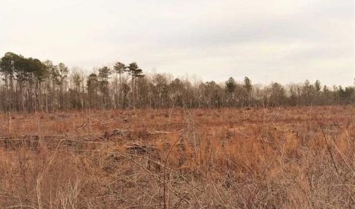 Photo of 10 + / -  acres of Residential/Timberland For Sale in Chatham County NC!