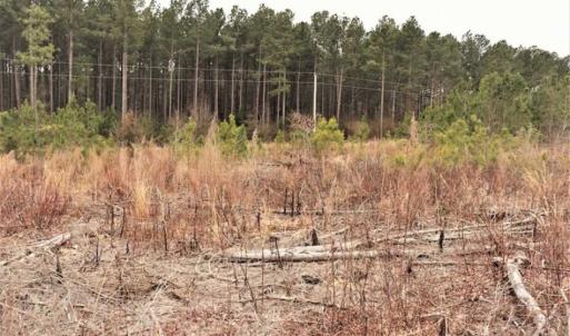 Photo of 16 + / -  acres of Residential/Timberland For Sale in Chatham County NC!