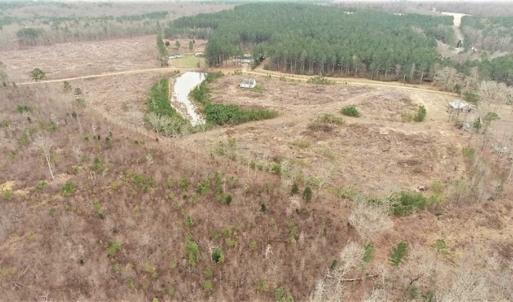 Photo of 16 + / -  acres of Residential/Timberland For Sale in Chatham County NC!