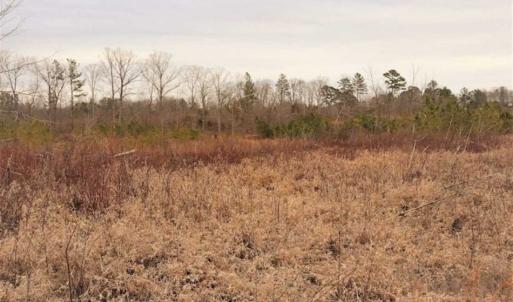 Photo of 16 + / -  acres of Residential/Timberland For Sale in Chatham County NC!