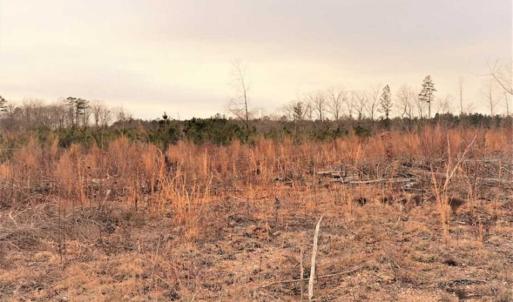 Photo of 16 + / -  acres of Residential/Timberland For Sale in Chatham County NC!