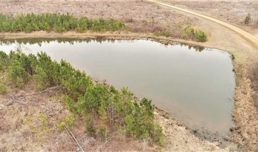 Photo of 16 + / -  acres of Residential/Timberland For Sale in Chatham County NC!