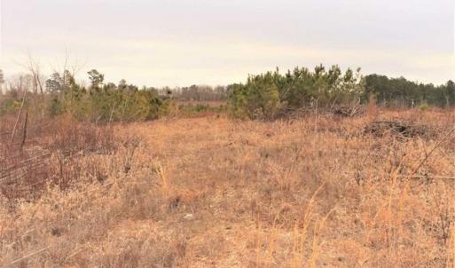 Photo of 16 + / -  acres of Residential/Timberland For Sale in Chatham County NC!
