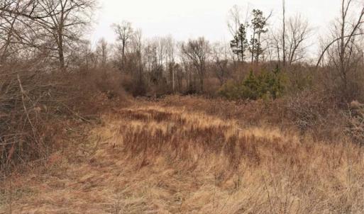 Photo of 22 + / - acres of Residential/Timberland For Sale in Chatham County NC!