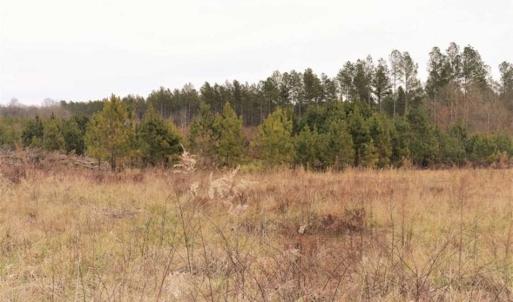 Photo of 22 + / - acres of Residential/Timberland For Sale in Chatham County NC!