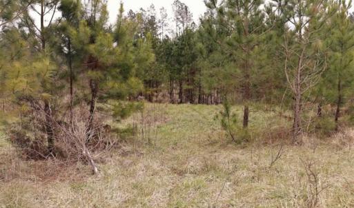 Photo of 22 + / - acres of Residential/Timberland For Sale in Chatham County NC!