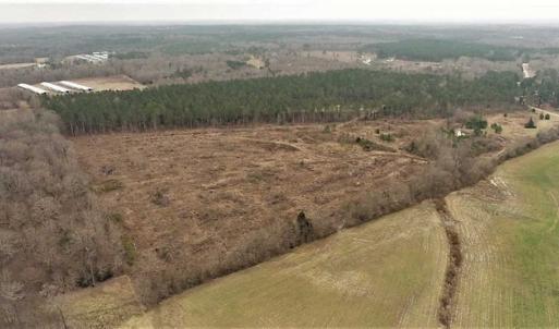 Photo of 22 + / - acres of Residential/Timberland For Sale in Chatham County NC!