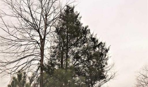 Photo of 22 + / - acres of Residential/Timberland For Sale in Chatham County NC!
