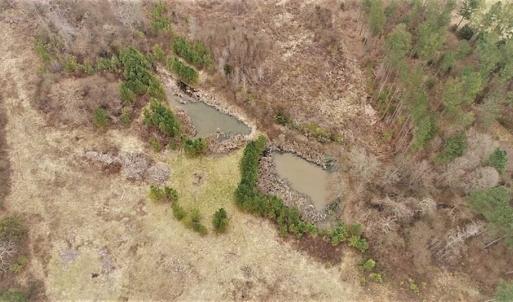 Photo of 22 + / - acres of Residential/Timberland For Sale in Chatham County NC!