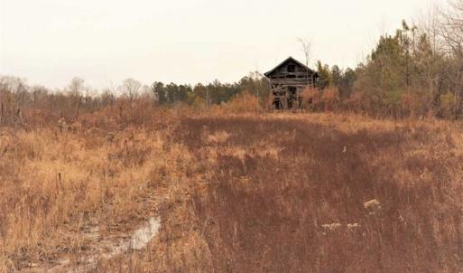 Photo of 22 + / - acres of Residential/Timberland For Sale in Chatham County NC!