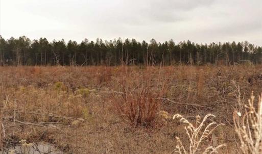Photo of 22 + / - acres of Residential/Timberland For Sale in Chatham County NC!