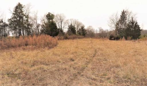 Photo of 22 + / - acres of Residential/Timberland For Sale in Chatham County NC!