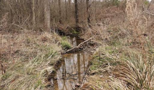 Photo of 22 + / - acres of Residential/Timberland For Sale in Chatham County NC!