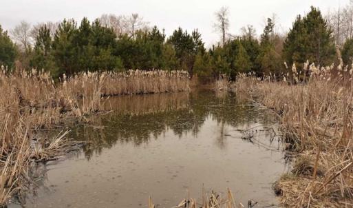 Photo of 22 + / - acres of Residential/Timberland For Sale in Chatham County NC!