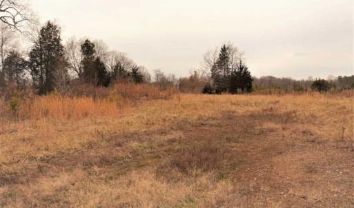 Photo of 22 + / - acres of Residential/Timberland For Sale in Chatham County NC!