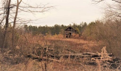 Photo of 22 + / - acres of Residential/Timberland For Sale in Chatham County NC!