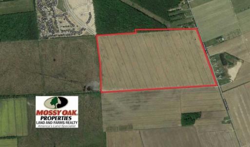 Photo of 141.45 Acres of Developmental Land for Sale in the City of Chesapeake VA!