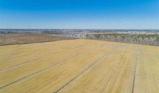 Photo of 141.45 Acres of Developmental Land for Sale in the City of Chesapeake VA!
