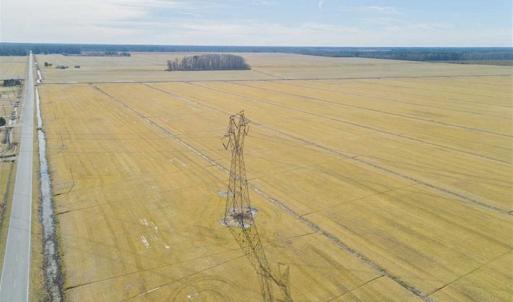 Photo of 141.45 Acres of Developmental Land for Sale in the City of Chesapeake VA!