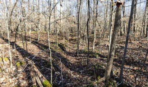Photo of 3.01 Acres of Residential Land For Sale in Orange County NC!