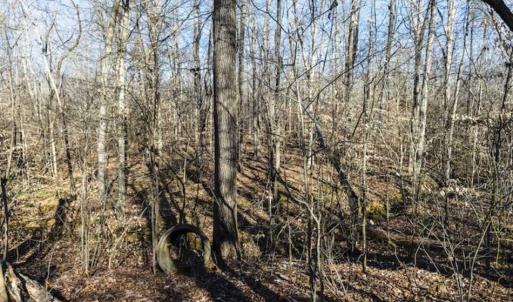Photo of 3.01 Acres of Residential Land For Sale in Orange County NC!