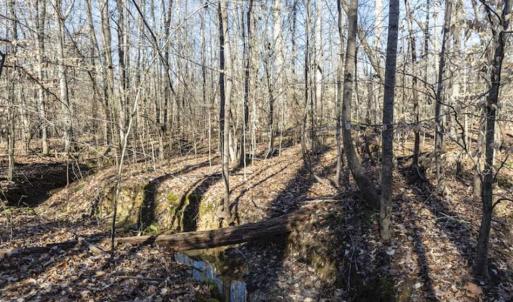 Photo of 3.01 Acres of Residential Land For Sale in Orange County NC!