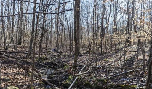 Photo of 3.01 Acres of Residential Land For Sale in Orange County NC!